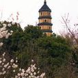 寶塔山公園
