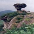梓洲村 梓洲村