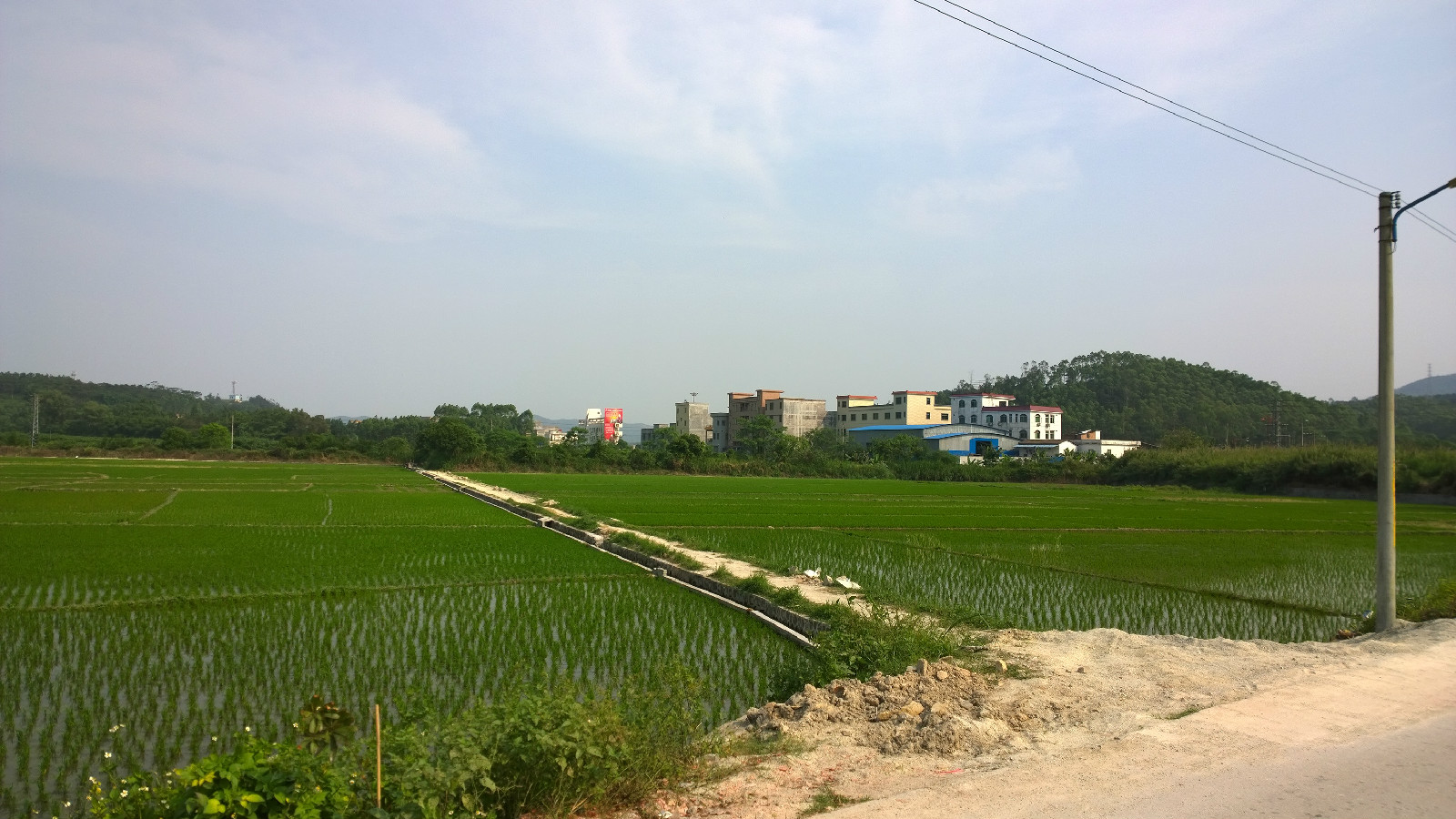 村前農田保護區，是該鎮最大的水稻基地