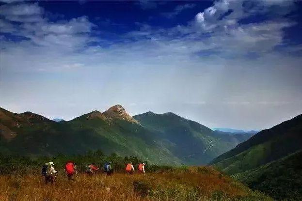 龍光山 龍光山