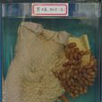 馬胃蠅 馬胃蠅