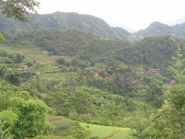 慢藥一村 慢藥一村