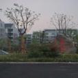 五里塘村 五里塘村