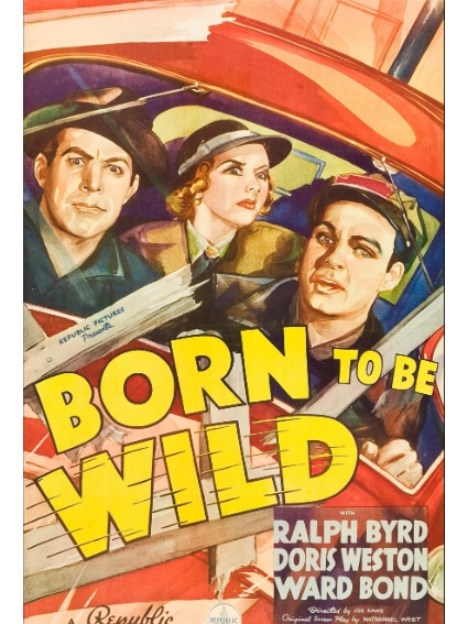 Born to Be Wild(美國1938年Joseph Kane執導的電影) Born to Be Wild(美國1938年Joseph Kane執導的電影)