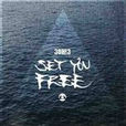 Set You Free(3OH!3演唱歌曲)