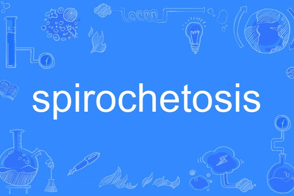 spirochetosis spirochetosis