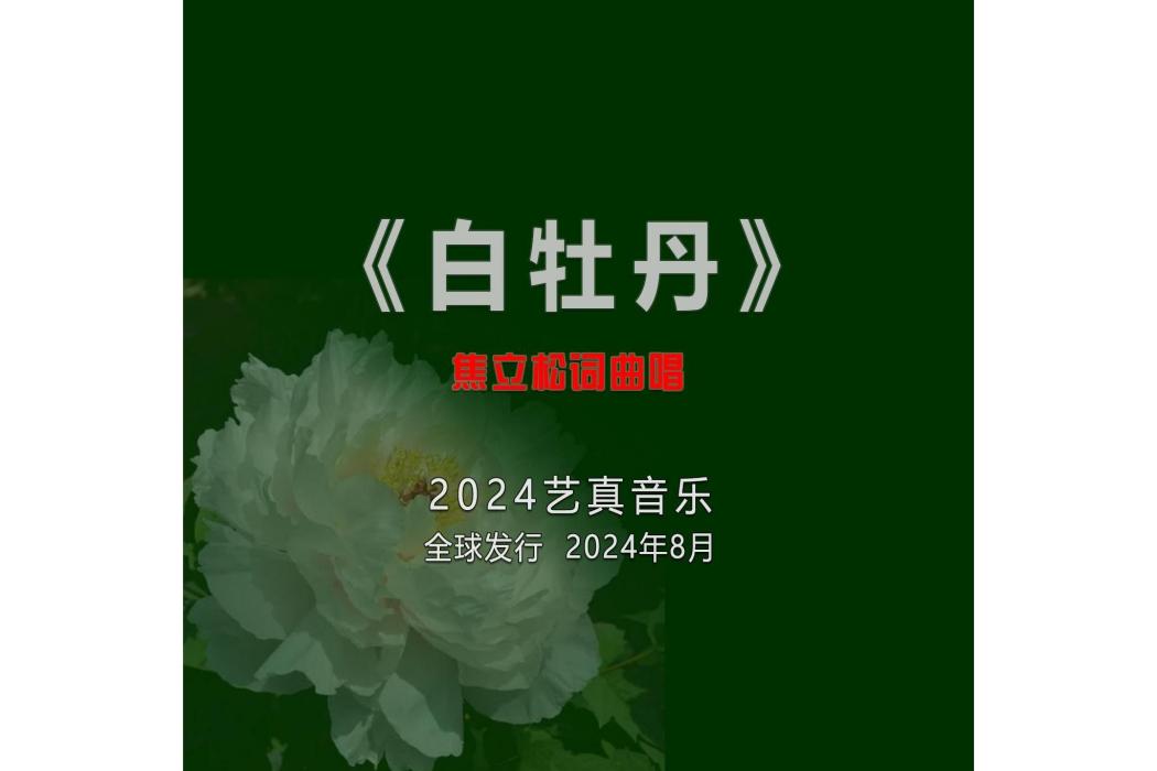 白牡丹(焦立松演唱的歌曲) 白牡丹(焦立松演唱的歌曲)