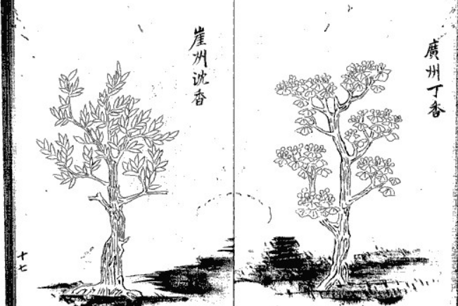 蘇合香丸(圖書) 蘇合香丸(圖書)