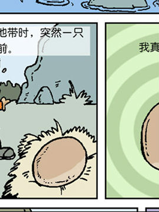 動物可笑堂19 動物可笑堂19