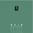 驚喜之旅 驚喜之旅