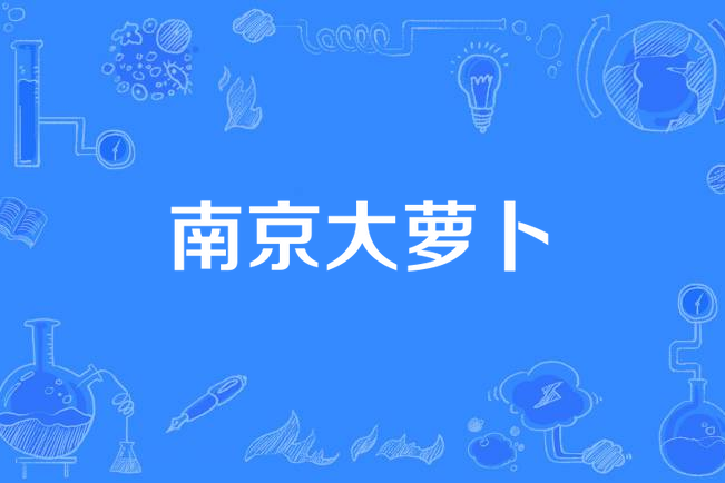 南京大蘿蔔 南京大蘿蔔