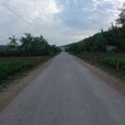 龐川村 龐川村