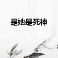 是她是死神 是她是死神