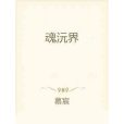 魂沅界 魂沅界