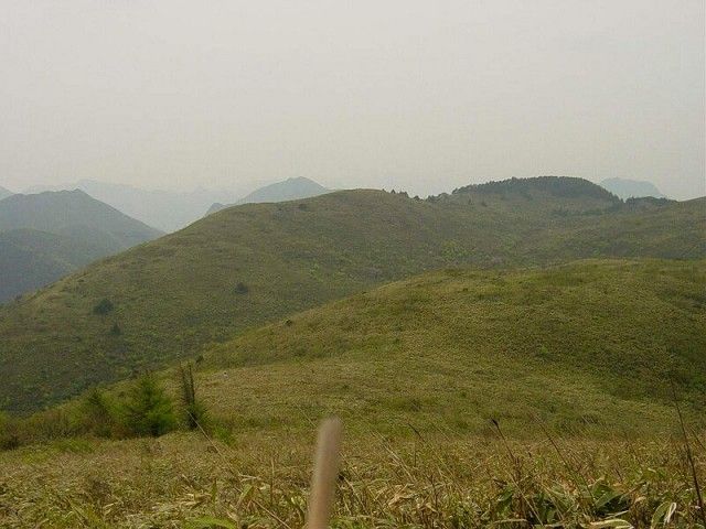 高山草甸