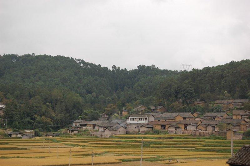 大村村(雲南曲靖市羅平縣板橋鎮下轄村)