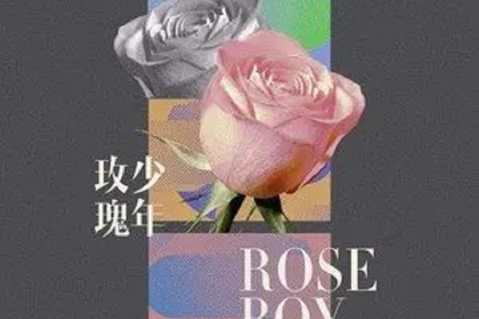 玫瑰少年(碓兌演唱的歌曲) 玫瑰少年(碓兌演唱的歌曲)