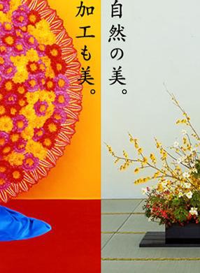 椎名桔平