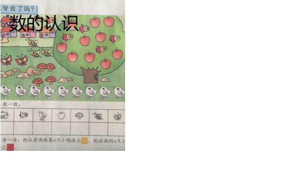 數的認識 數的認識