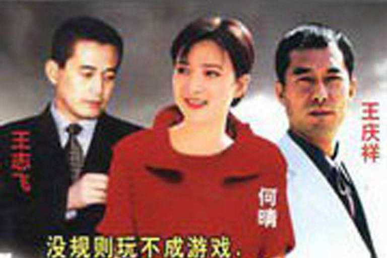 遊戲規則(2001年王慶祥何晴王志飛主演的電視劇) 遊戲規則(2001年王慶祥何晴王志飛主演的電視劇)