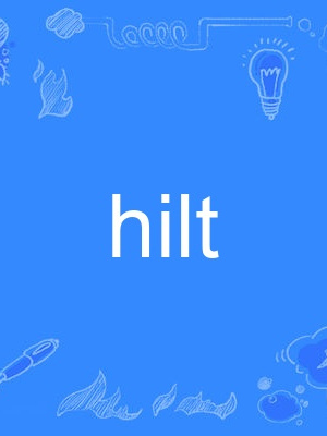 hilt hilt