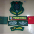 cplasf cplasf
