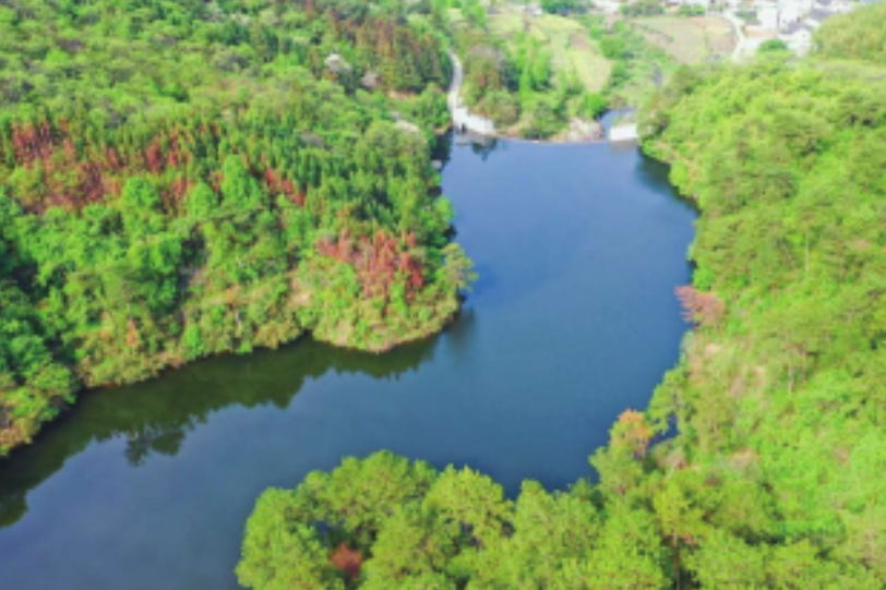 張大堰水庫(是淮河流域潢河支流上的小(2)型水庫) 張大堰水庫(是淮河流域潢河支流上的小(2)型水庫)