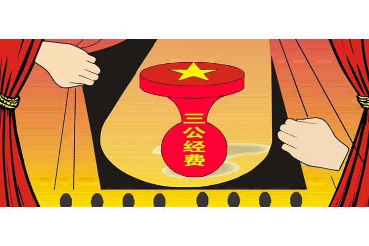 三公一票 三公一票