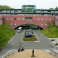 東京美術學校 東京美術學校