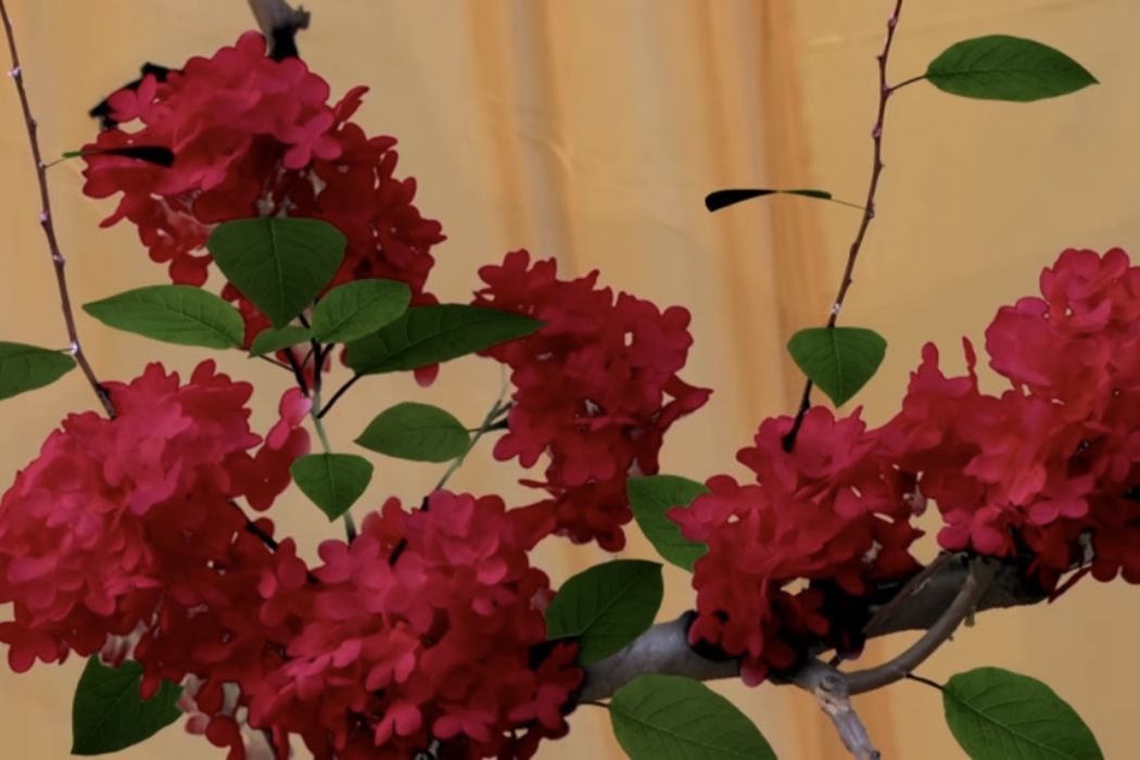 情花(電視劇《神探狄仁傑4》中的植物) 情花(電視劇《神探狄仁傑4》中的植物)