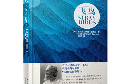 飛鳥(2017年湖北人民出版出版的圖書) 飛鳥(2017年湖北人民出版出版的圖書)