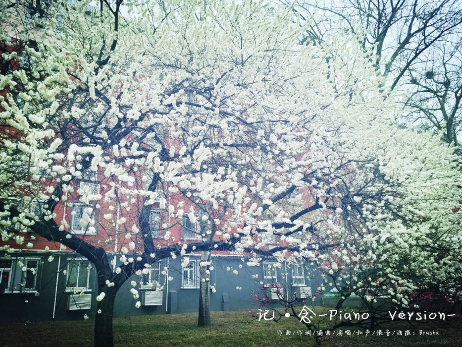 記·念-Piano Version 記·念-Piano Version