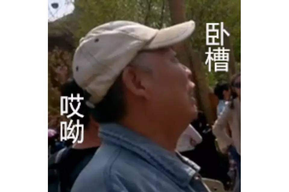臥槽大爺 臥槽大爺