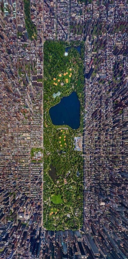 中央公園(紐約中央公園)