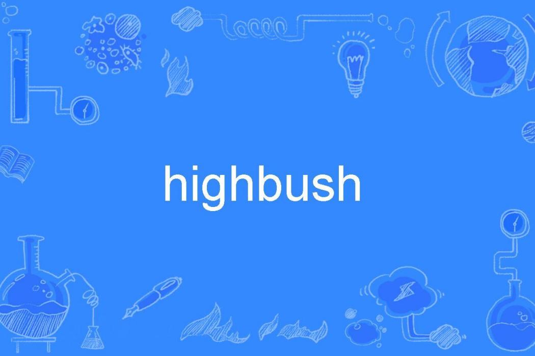 highbush highbush