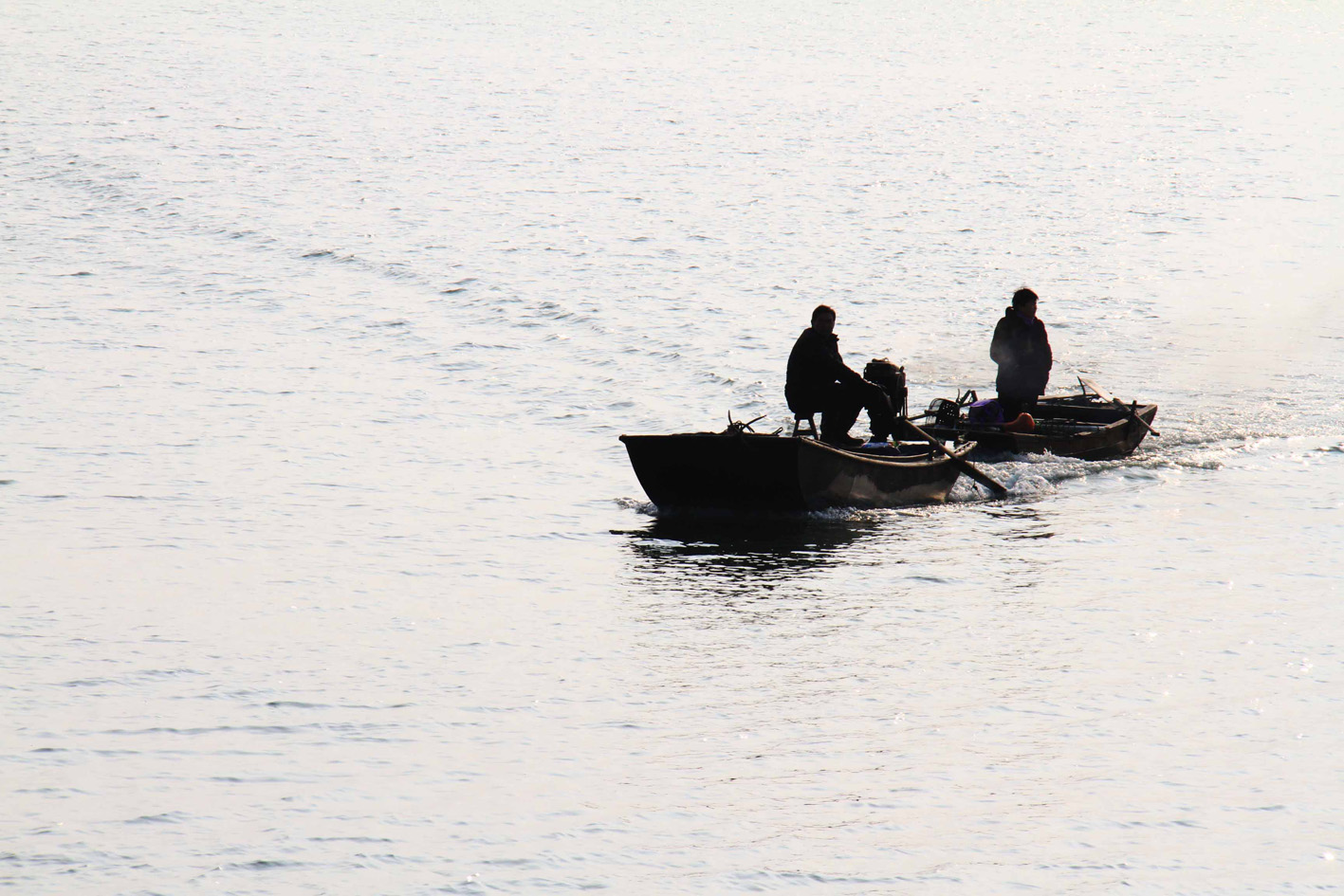 瓦埠湖漁業生產