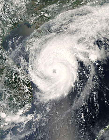 颱風浣熊衛星雲圖