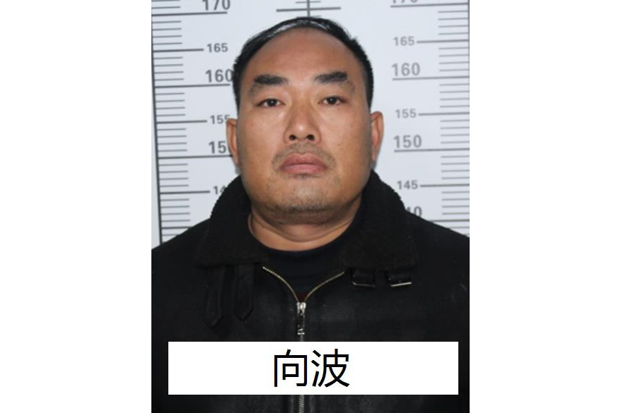 向波(四川達州涉黑組織成員) 向波(四川達州涉黑組織成員)