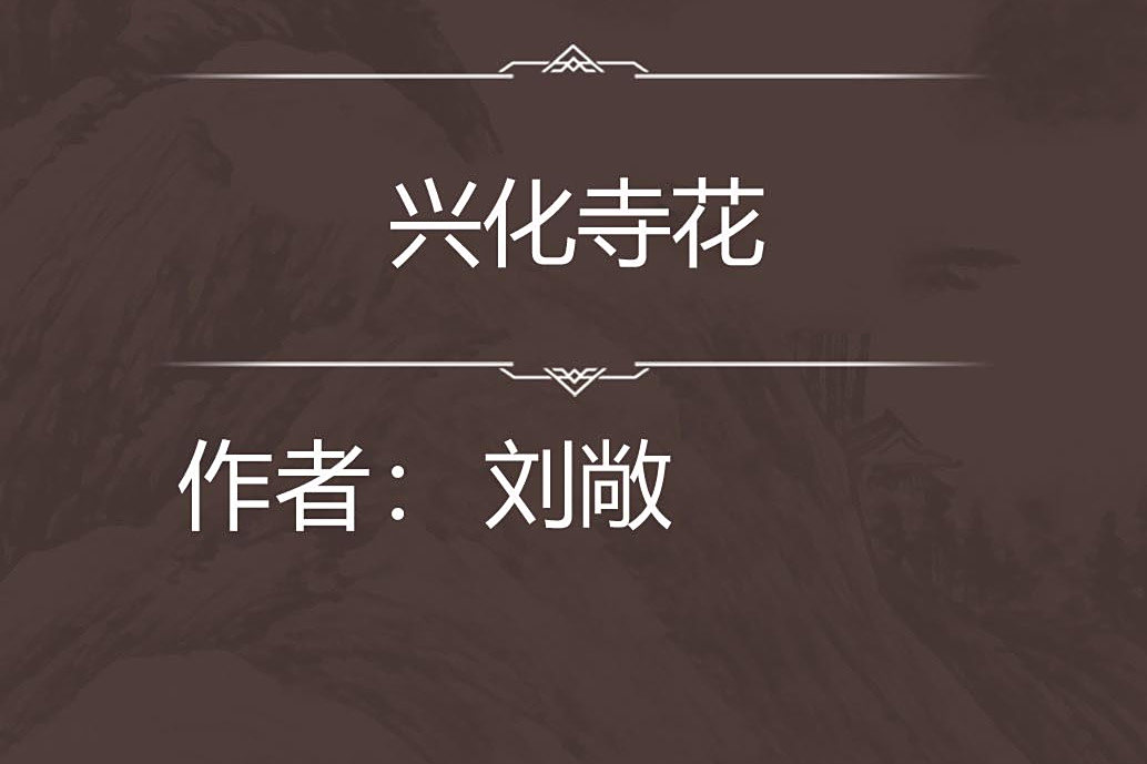 興化寺花 興化寺花
