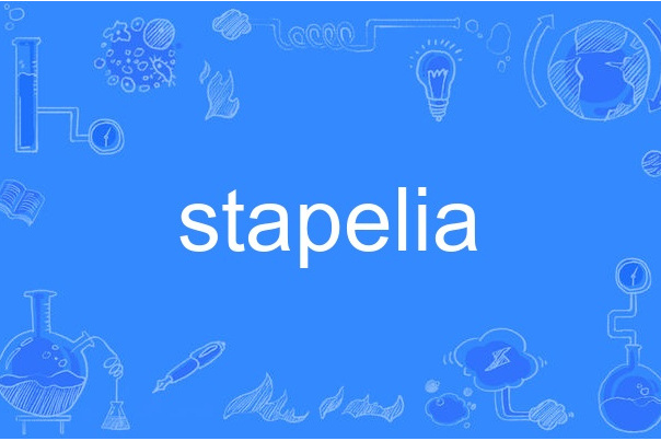 stapelia stapelia