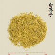 炒芥子 炒芥子