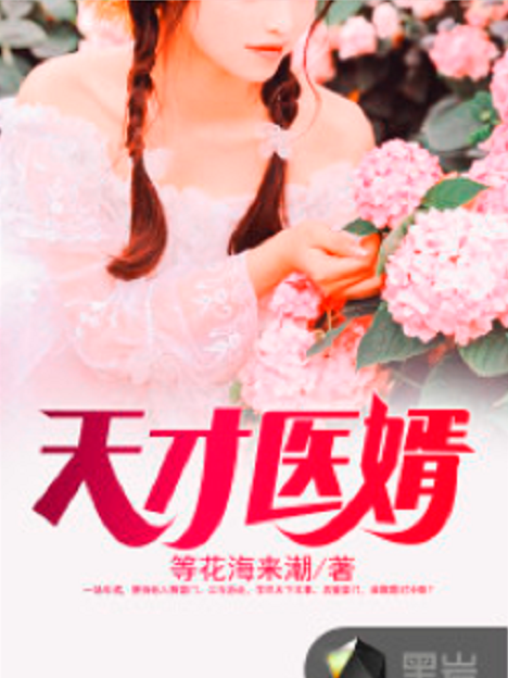 天才醫婿 天才醫婿
