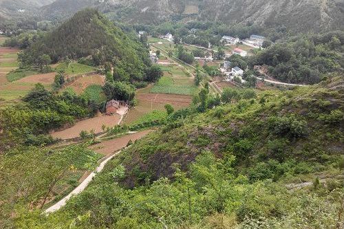 東獅村 東獅村