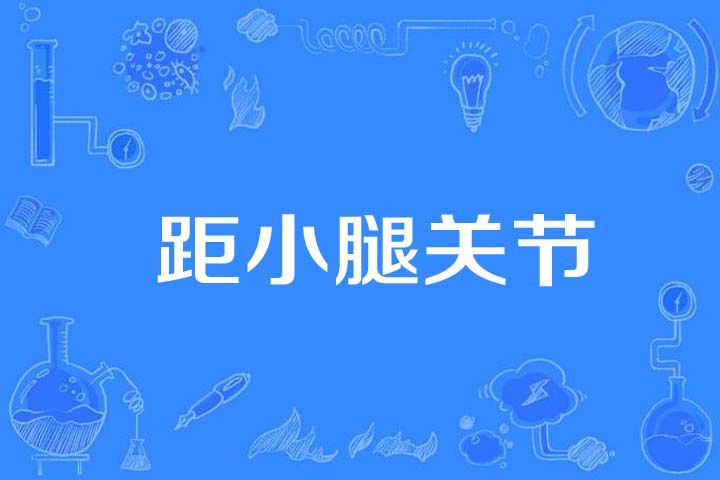 距小腿關節 距小腿關節