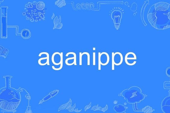 aganippe aganippe