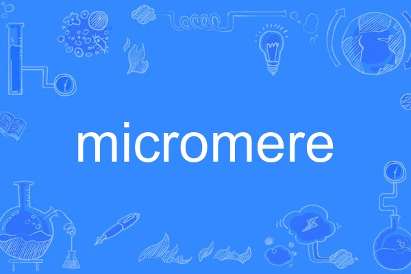 micromere micromere