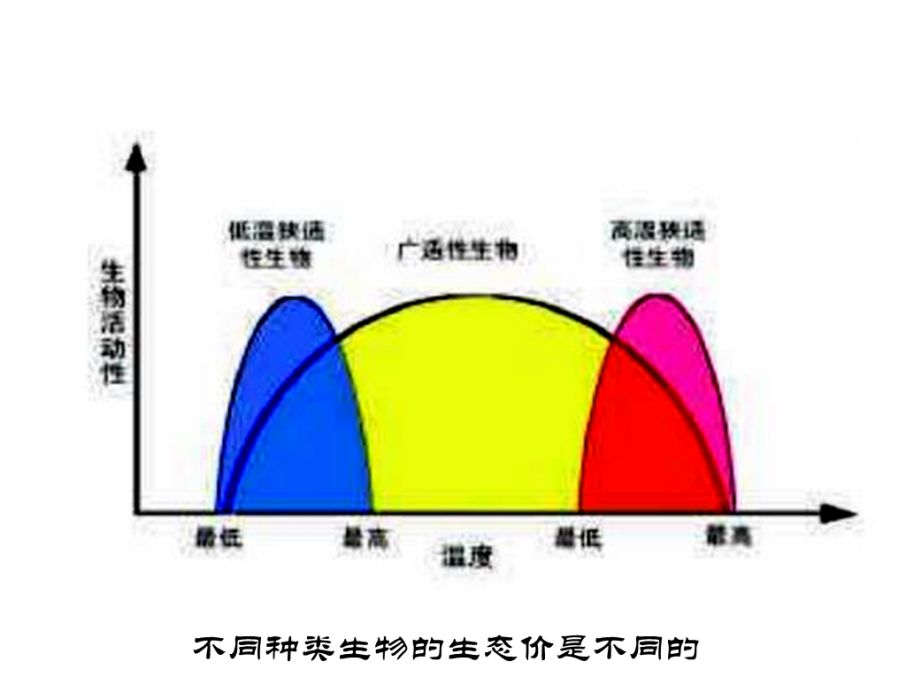 生態價 生態價