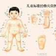 一窩風 一窩風