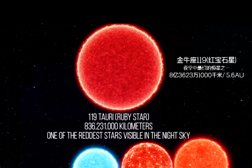 金牛座119 金牛座119
