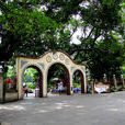 中山公園(廣東省佛山市中山公園) 中山公園(廣東省佛山市中山公園)
